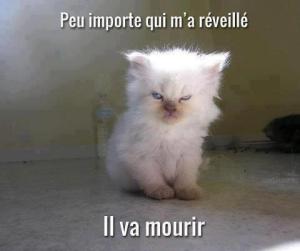 Merci à Marina pour le partage :) 